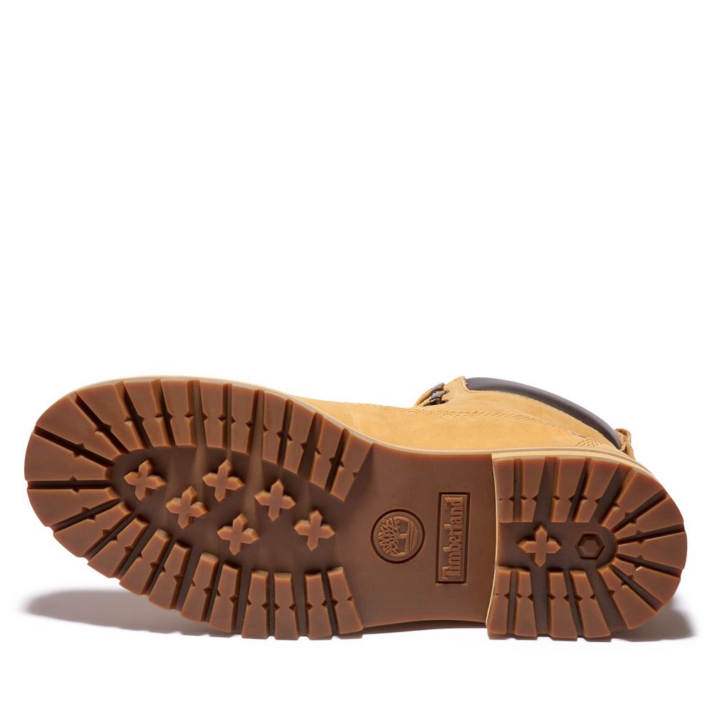 Botas de Nieve Timberland Hombre Courma Guy Waterproof Marrones - Chile NEH-791403